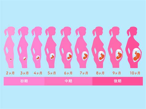 妊娠中 体位|医学的に見た「妊娠しやすい体位」とは？